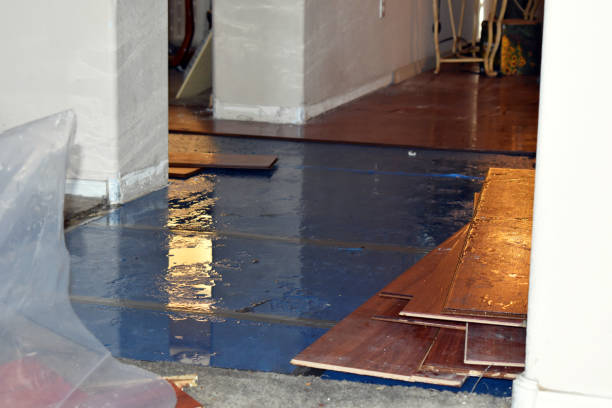 Professional Burst Pipe Cleanup technician working in Woronoco, MA